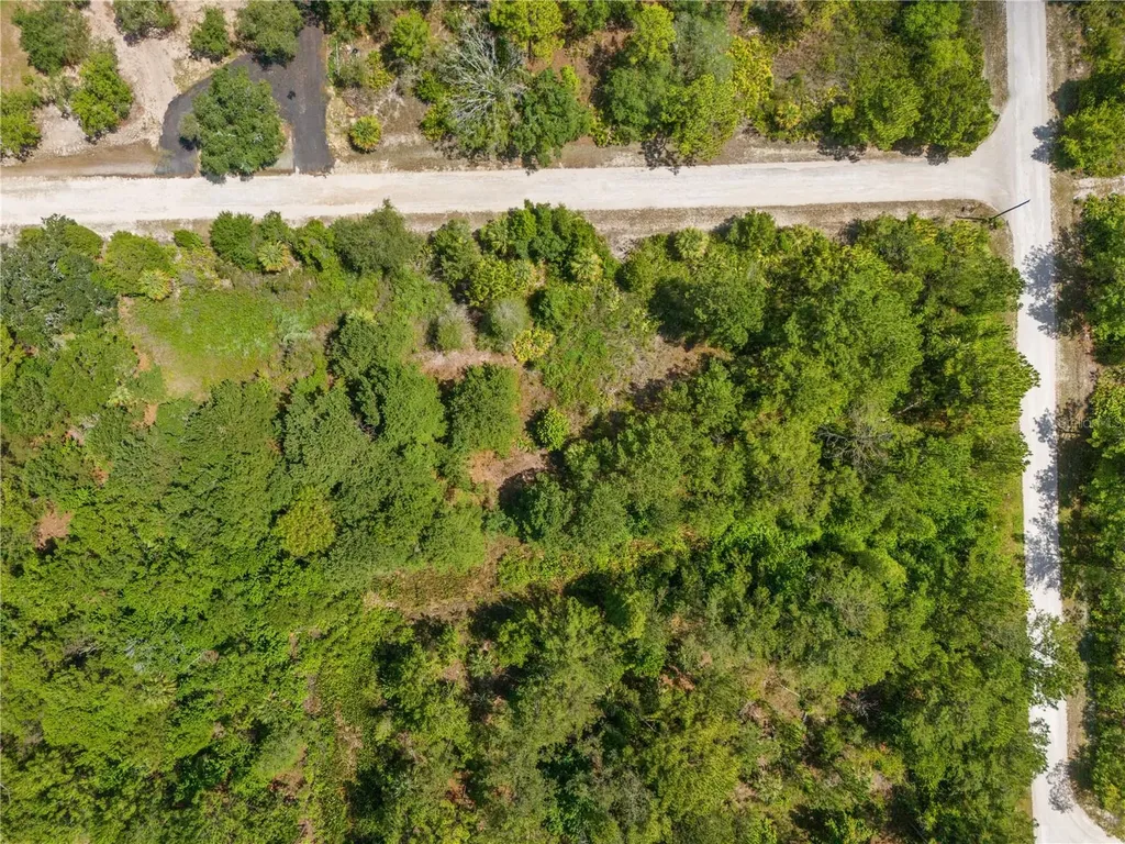 Ramsey Road Weeki Wachee FL 34614