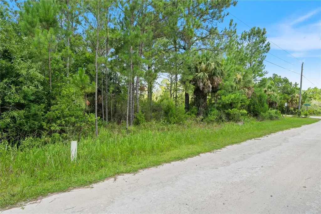 Ramsey Road Weeki Wachee FL 34614