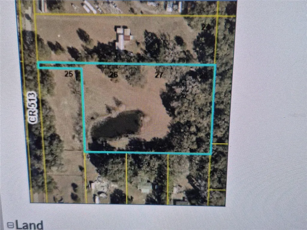 Cr 513 Wildwood FL 34785