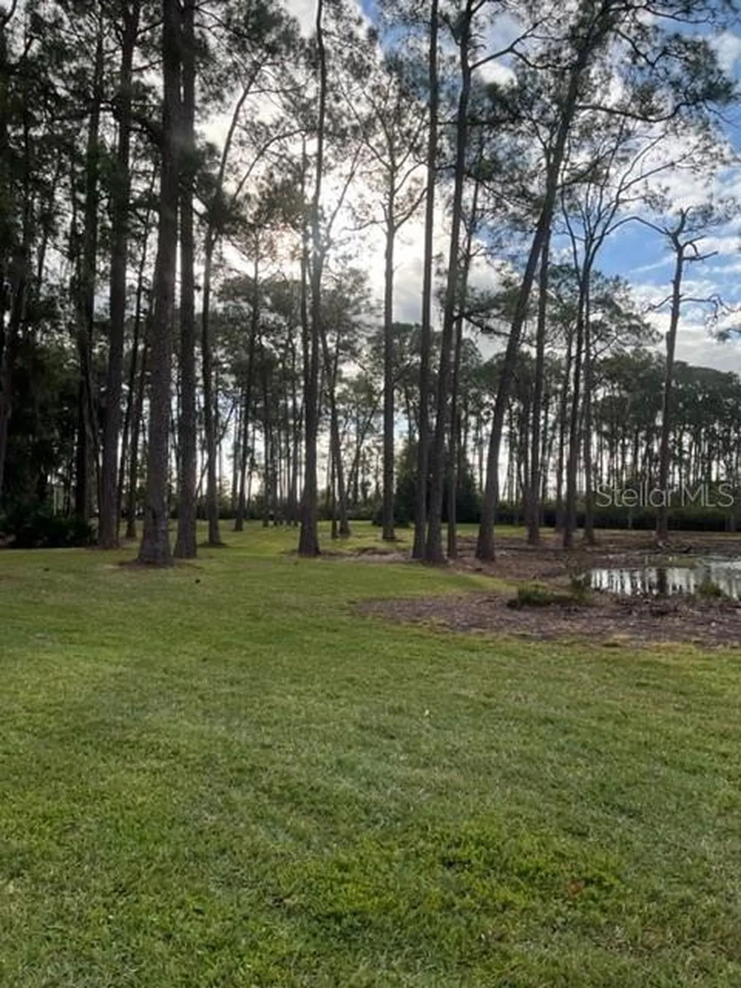 50989 Highway 27 Davenport FL 33897