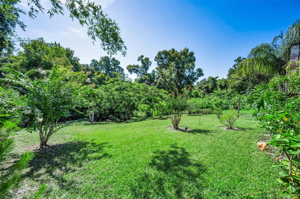 3550 Rolando Drive Palm Harbor FL 34683