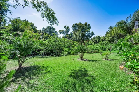 3550 Rolando Drive Palm Harbor FL 34683