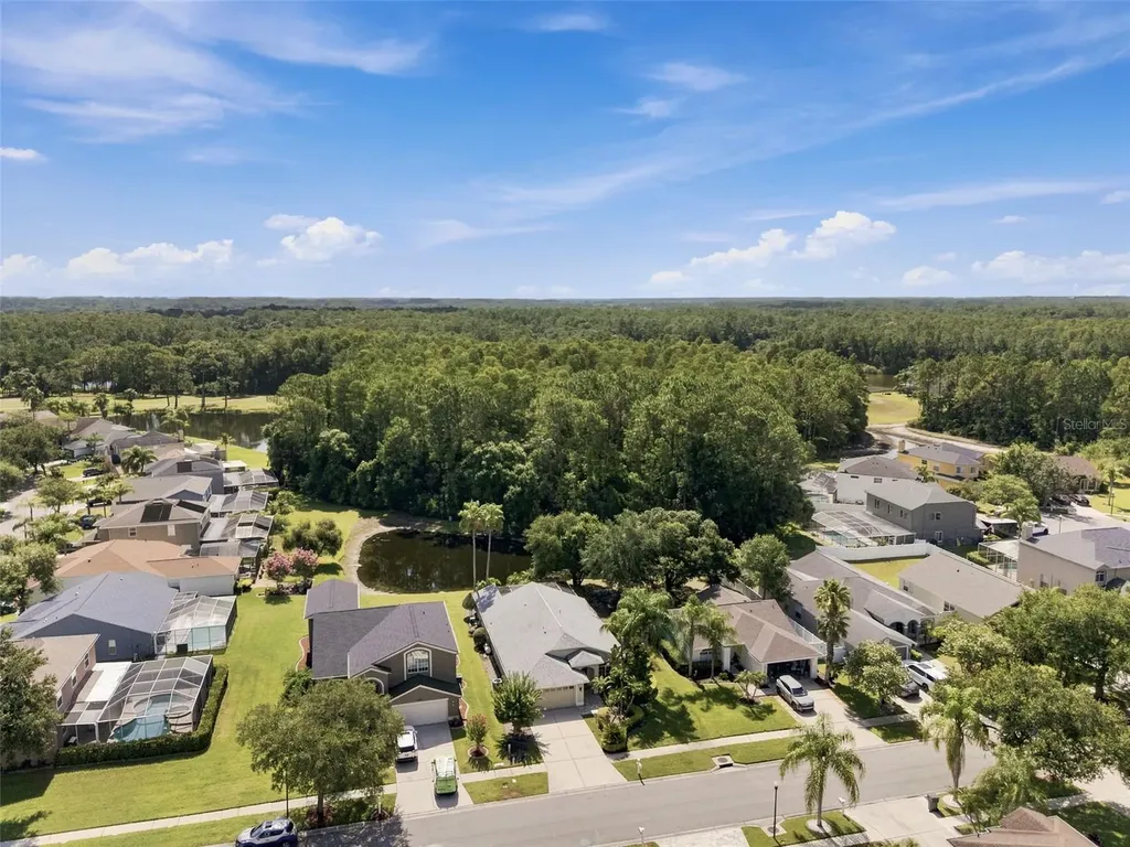 13108 Royal George Avenue Odessa FL 33556