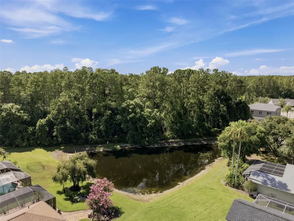 13108 Royal George Avenue Odessa FL 33556