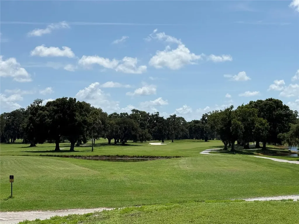 13108 Royal George Avenue Odessa FL 33556