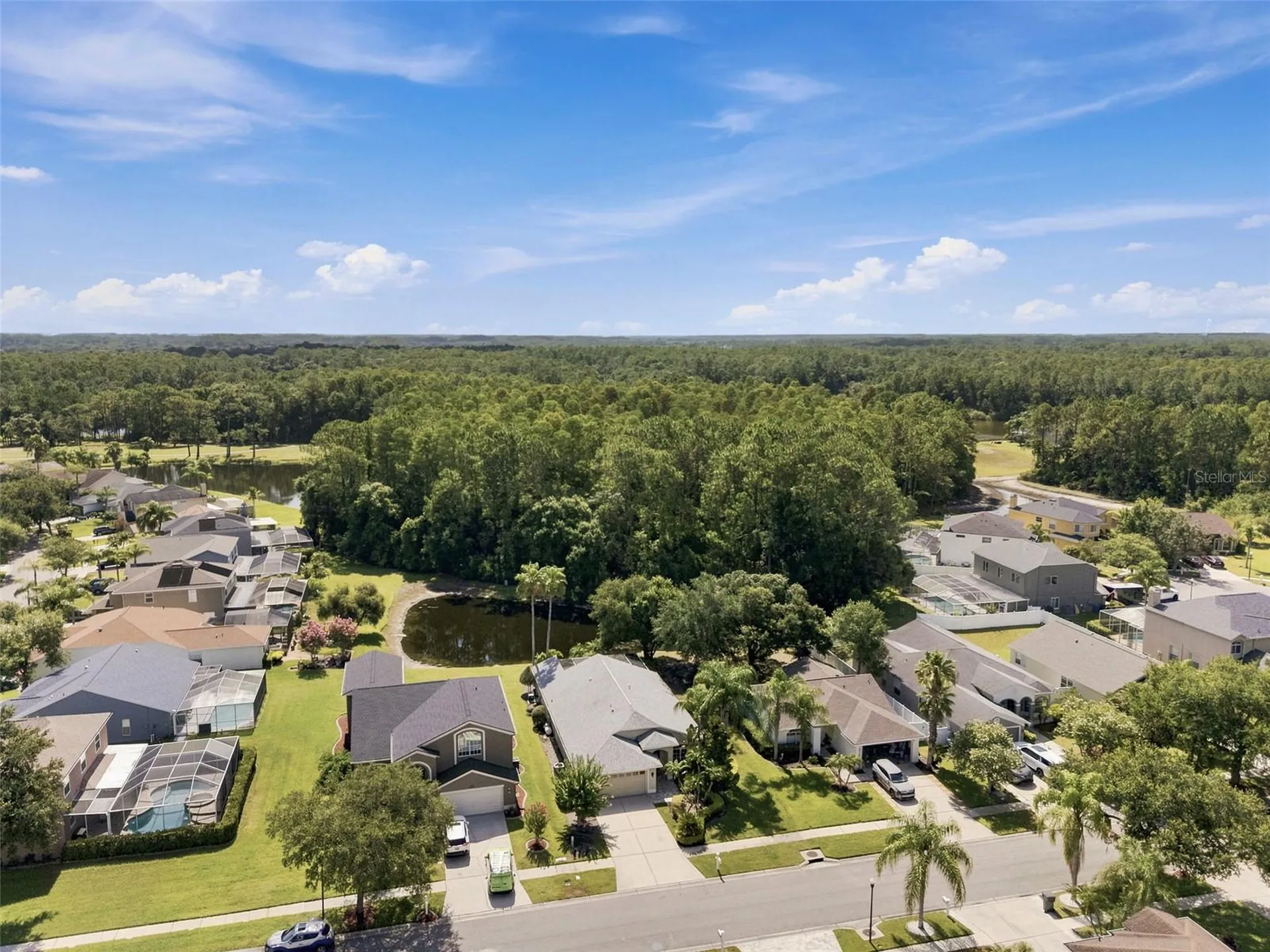 13108 Royal George Avenue Odessa FL 33556