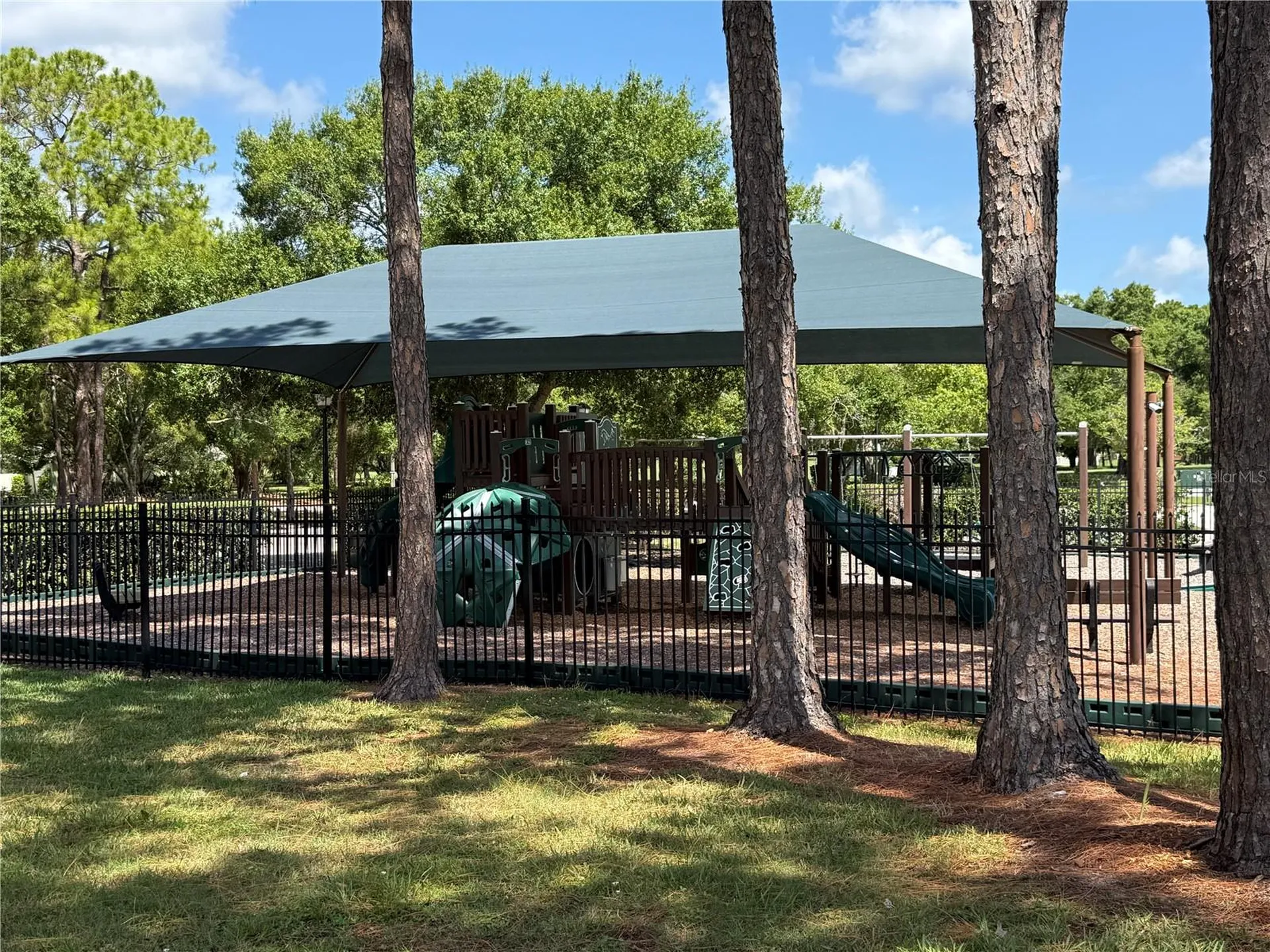 13108 Royal George Avenue Odessa FL 33556
