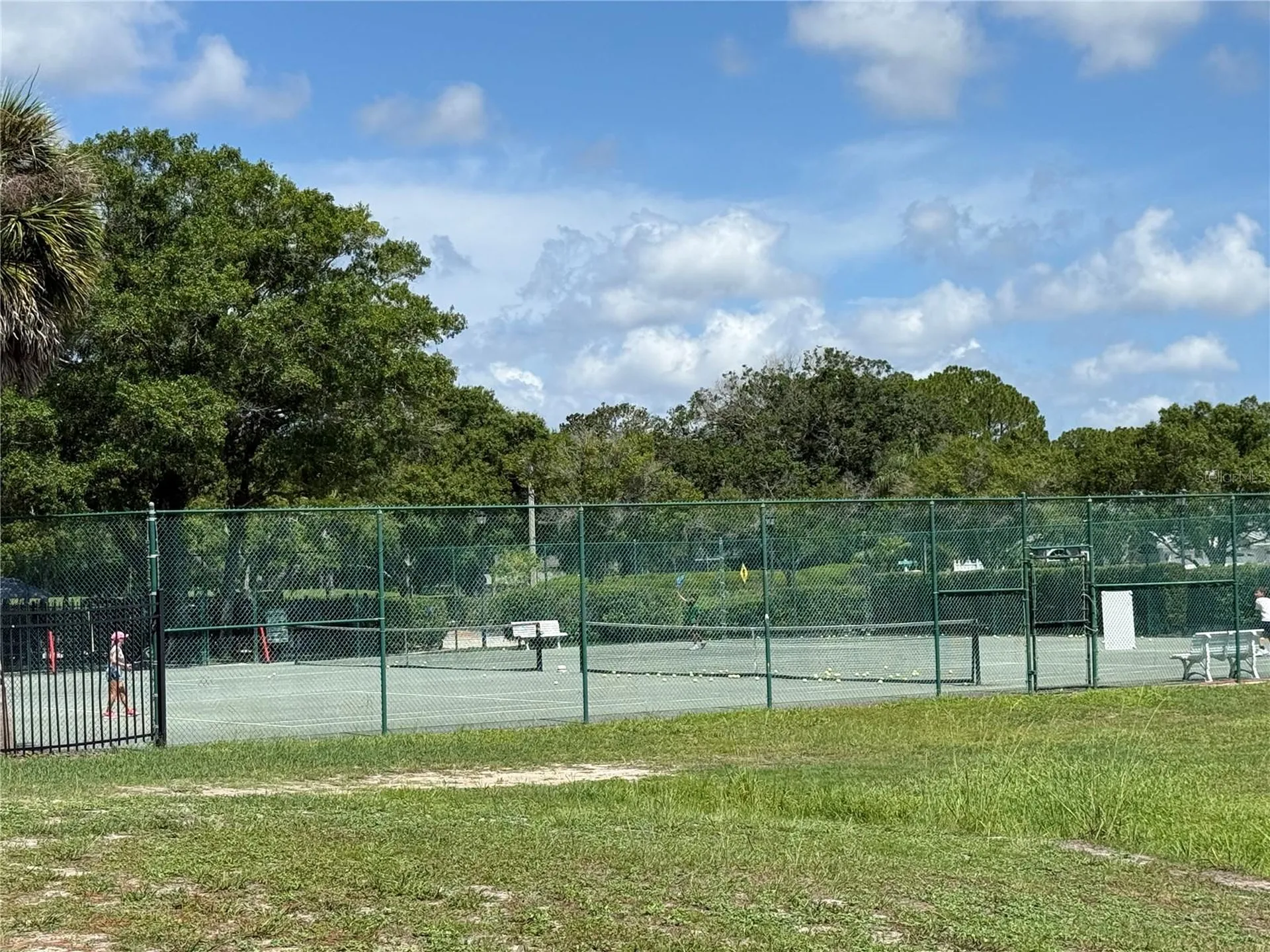 13108 Royal George Avenue Odessa FL 33556