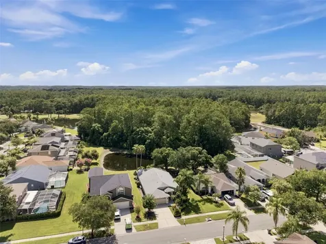13108 Royal George Avenue Odessa FL 33556