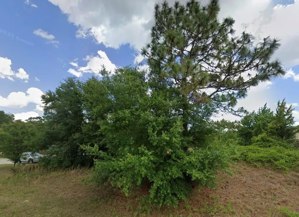 Juniper Pass Ocala FL 34480