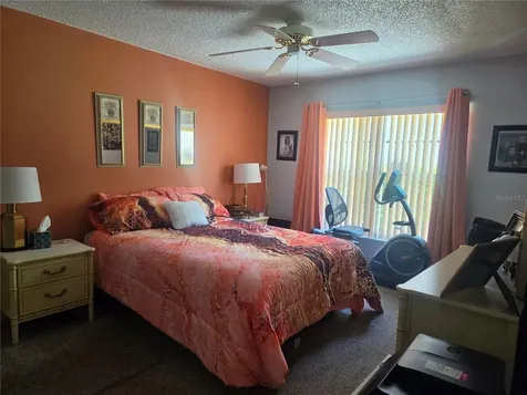 6433 Tina Drive New Port Richey FL 34653