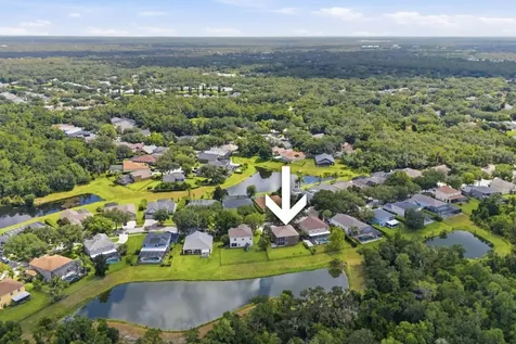 14722 Heronglen Drive Lithia FL 33547