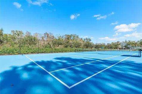 2608 Meadow Grange Lane Lutz FL 33559