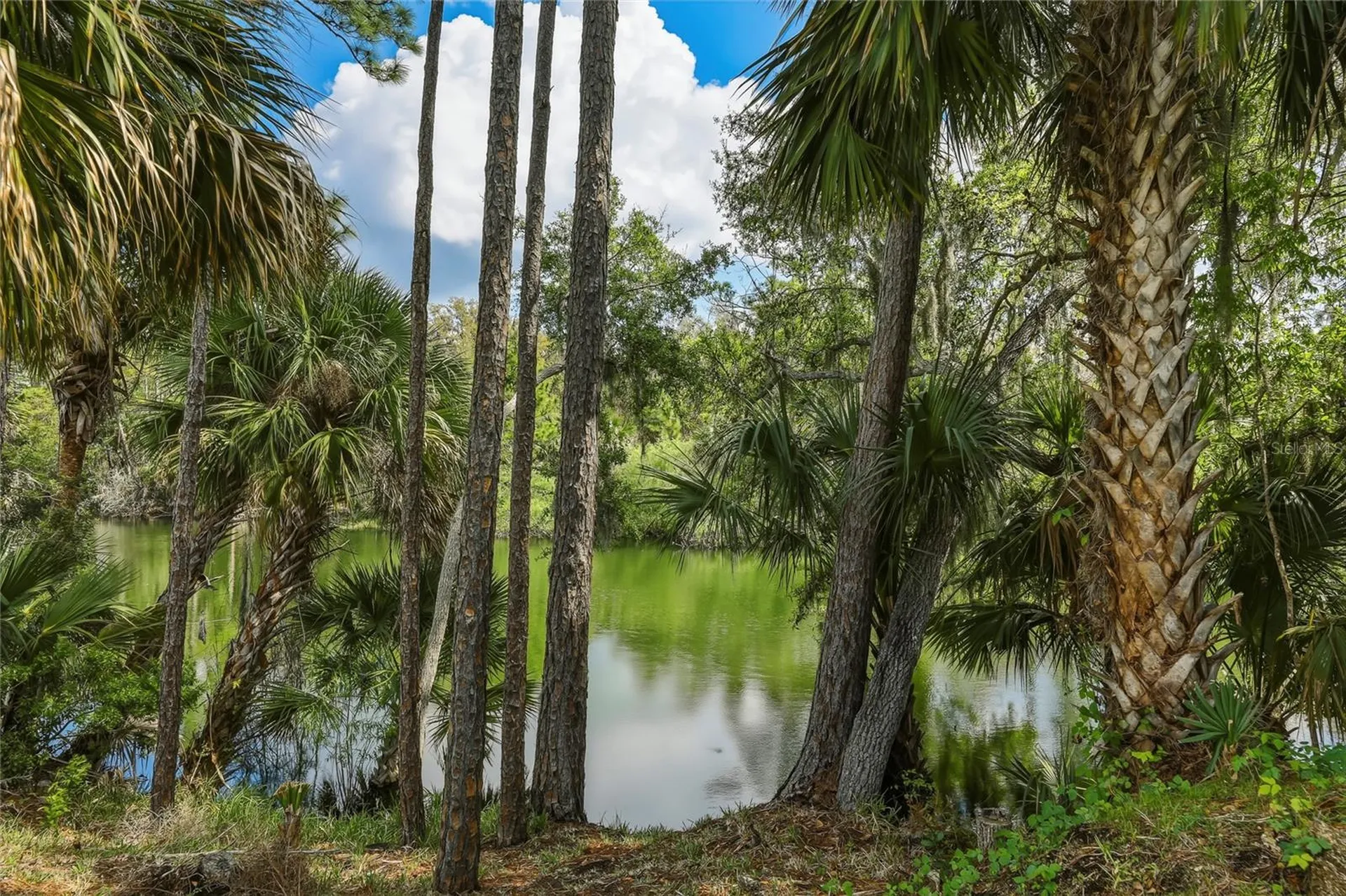 5573 Reagan Avenue Titusville FL 32780