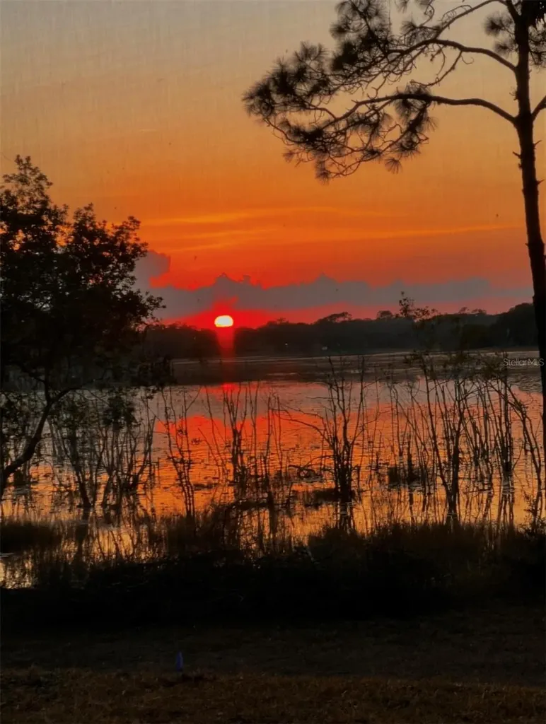 3828 Oak Pointe Drive Lady Lake FL 32159