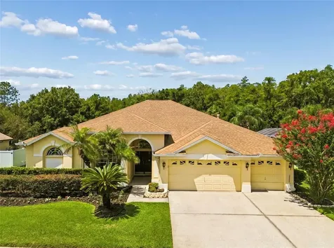 10111 Kingshyre Way Tampa FL 33647