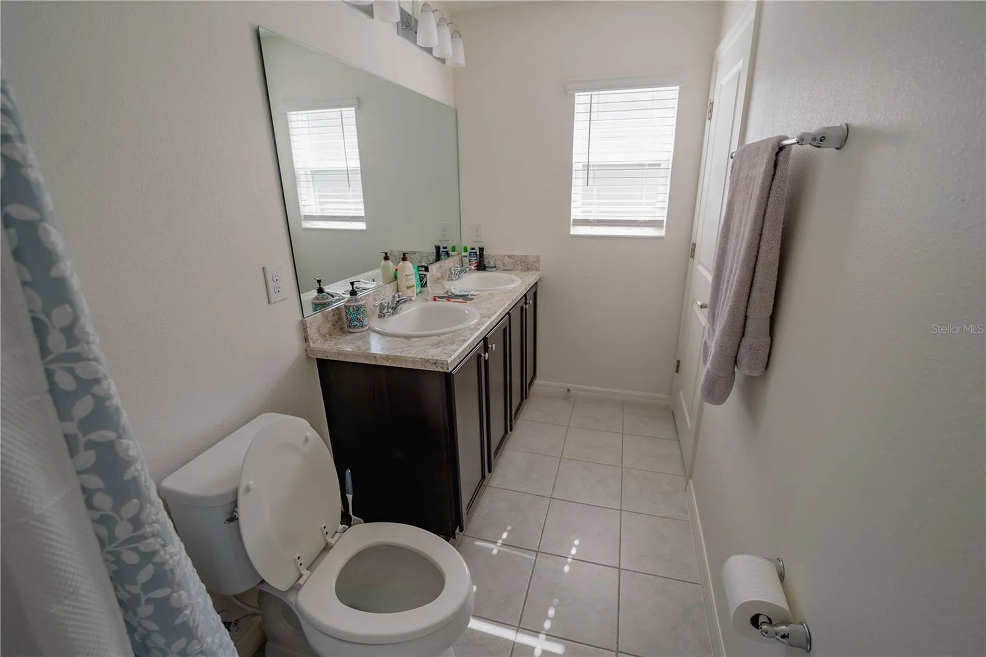 10561 Laguna Plains Drive Riverview FL 33578