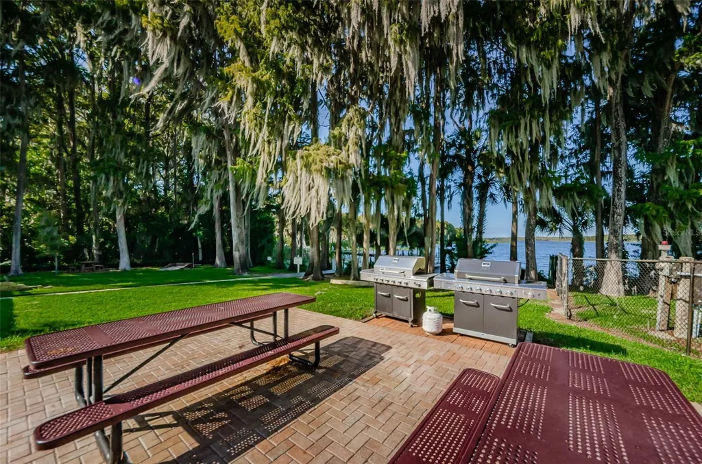 3215 Mcmath Drive Palm Harbor FL 34684