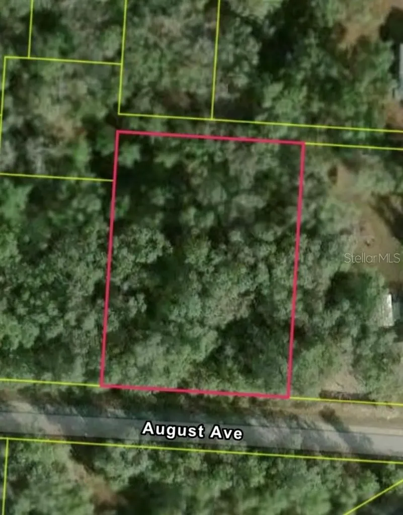 34039 August Avenue Webster FL 33597