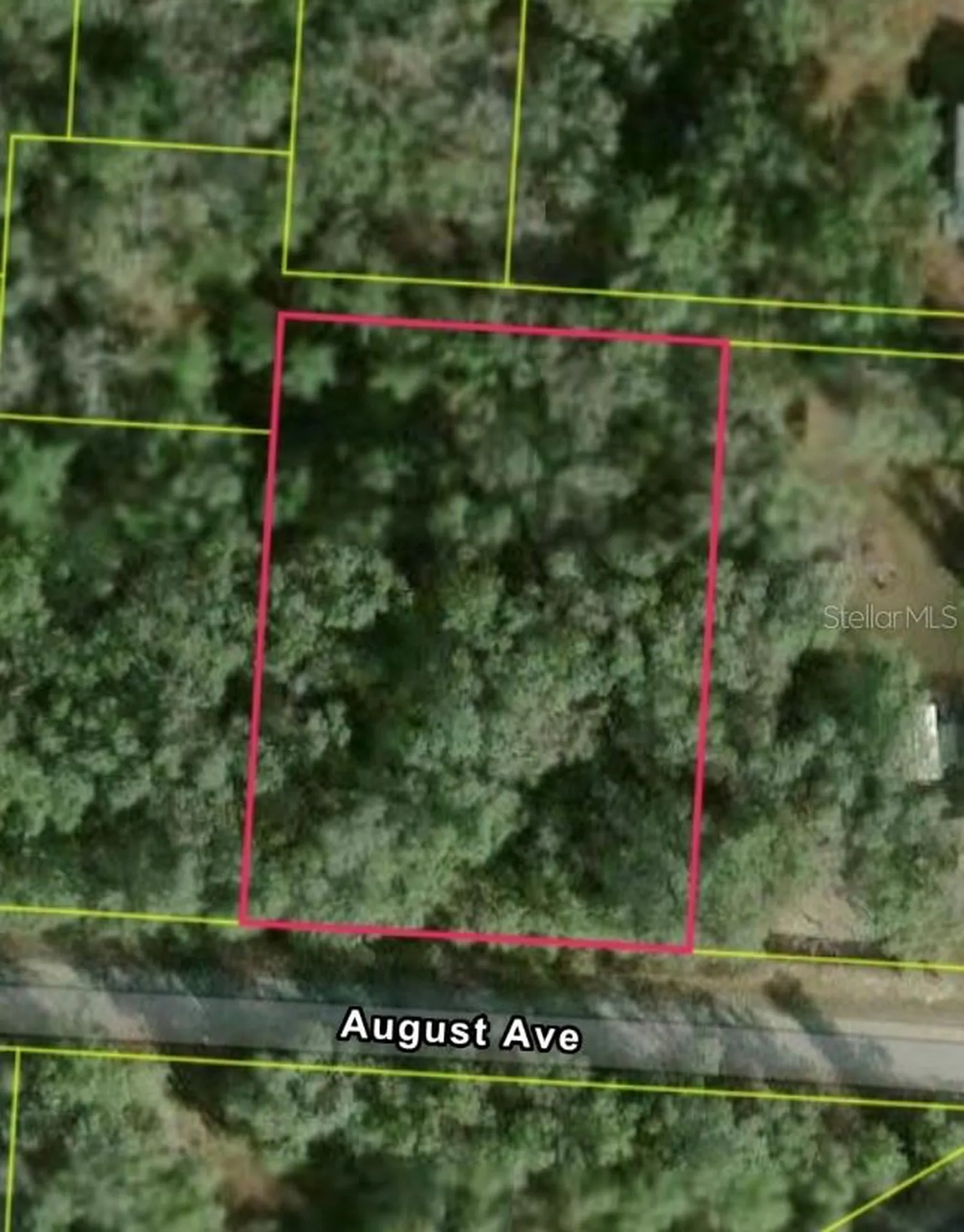 34039 August Avenue Webster FL 33597