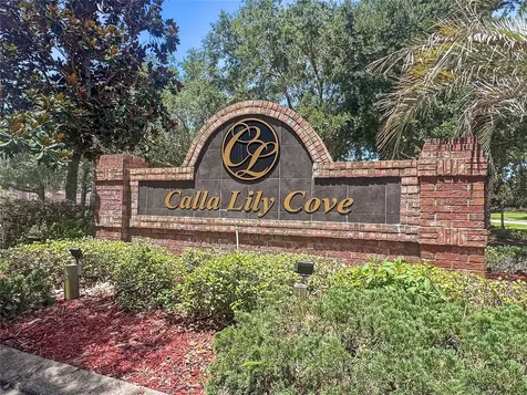 2528 Calla Lily Cove Kissimmee FL 34758