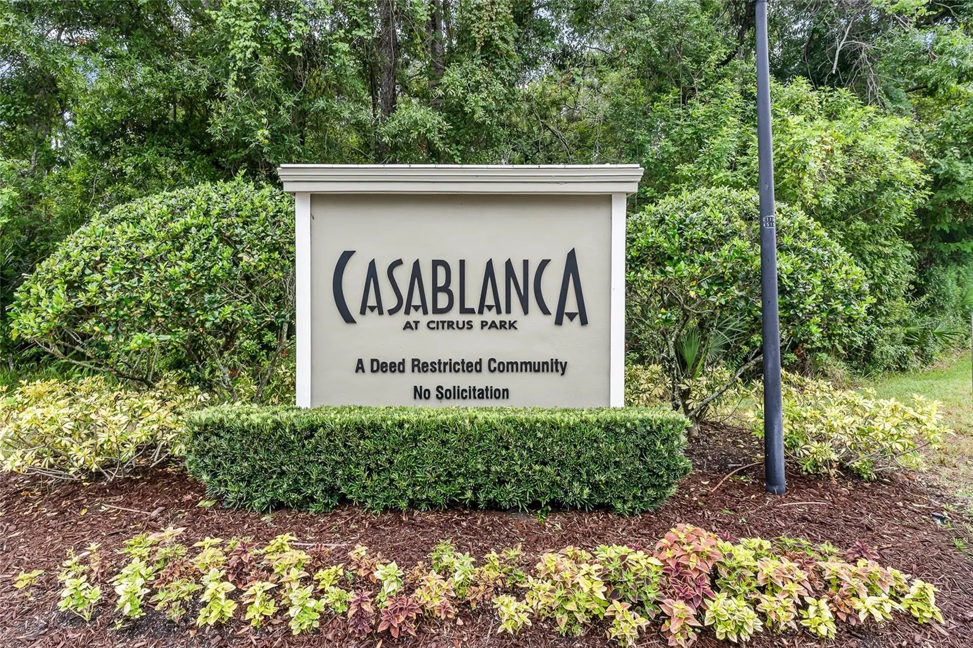 11014 Blaine Top Place Tampa FL 33626