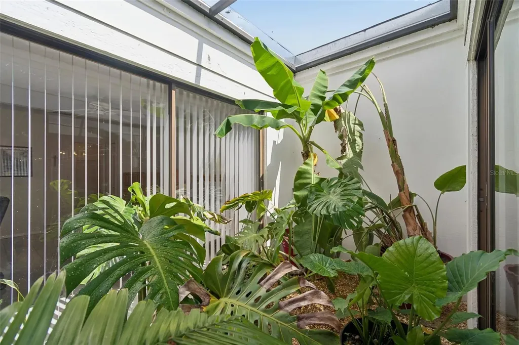 100 Lisa Lane Oldsmar FL 34677