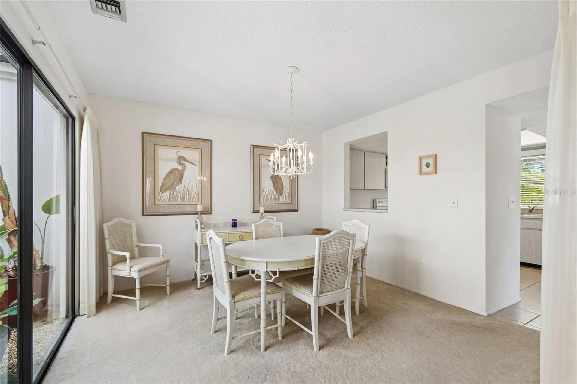 100 Lisa Lane Oldsmar FL 34677