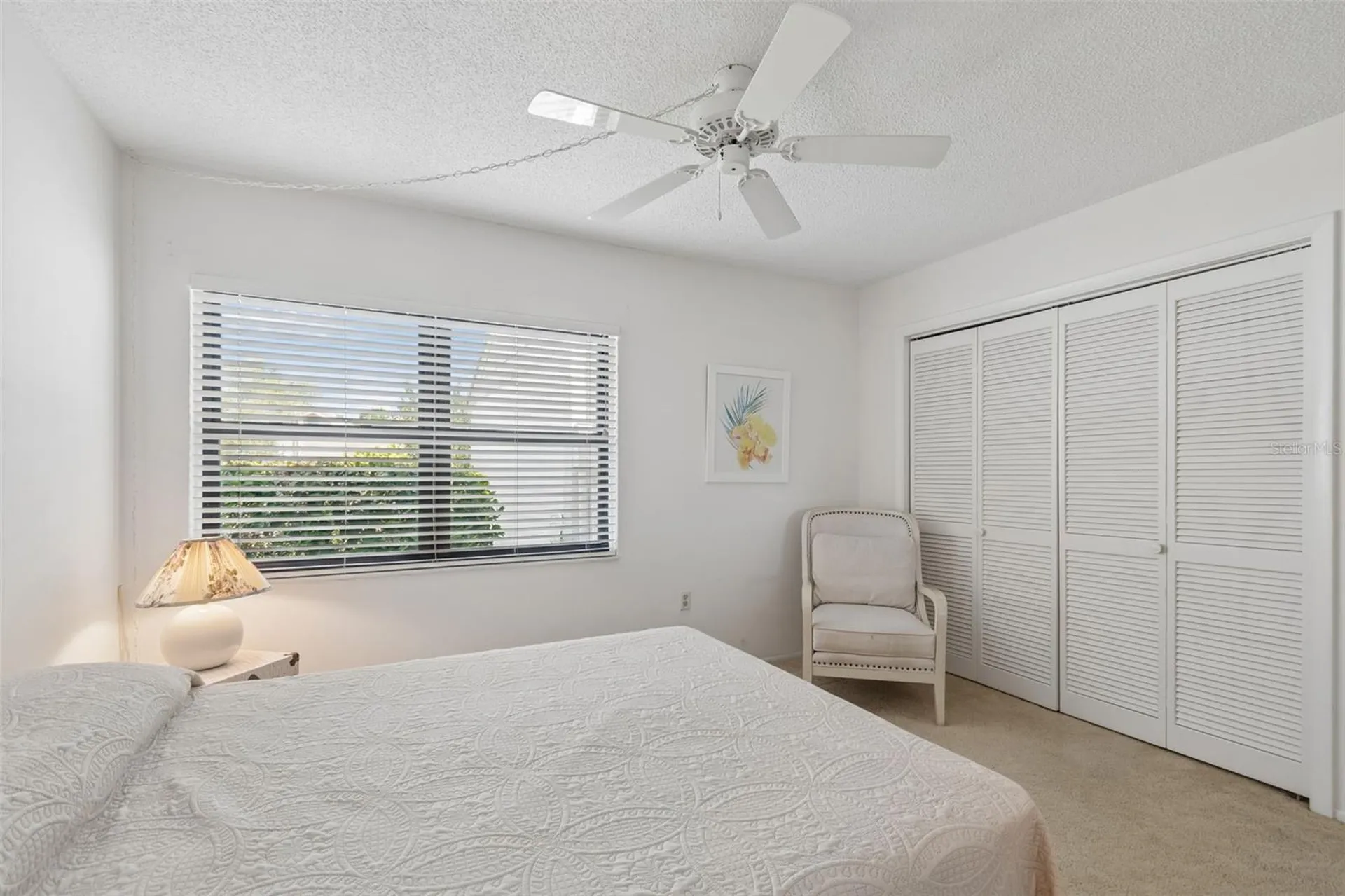 100 Lisa Lane Oldsmar FL 34677
