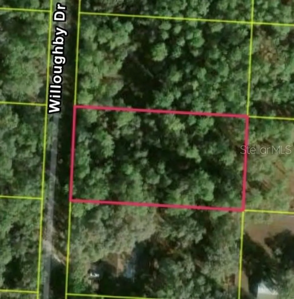 7352 Willoughby Drive Webster FL 33597