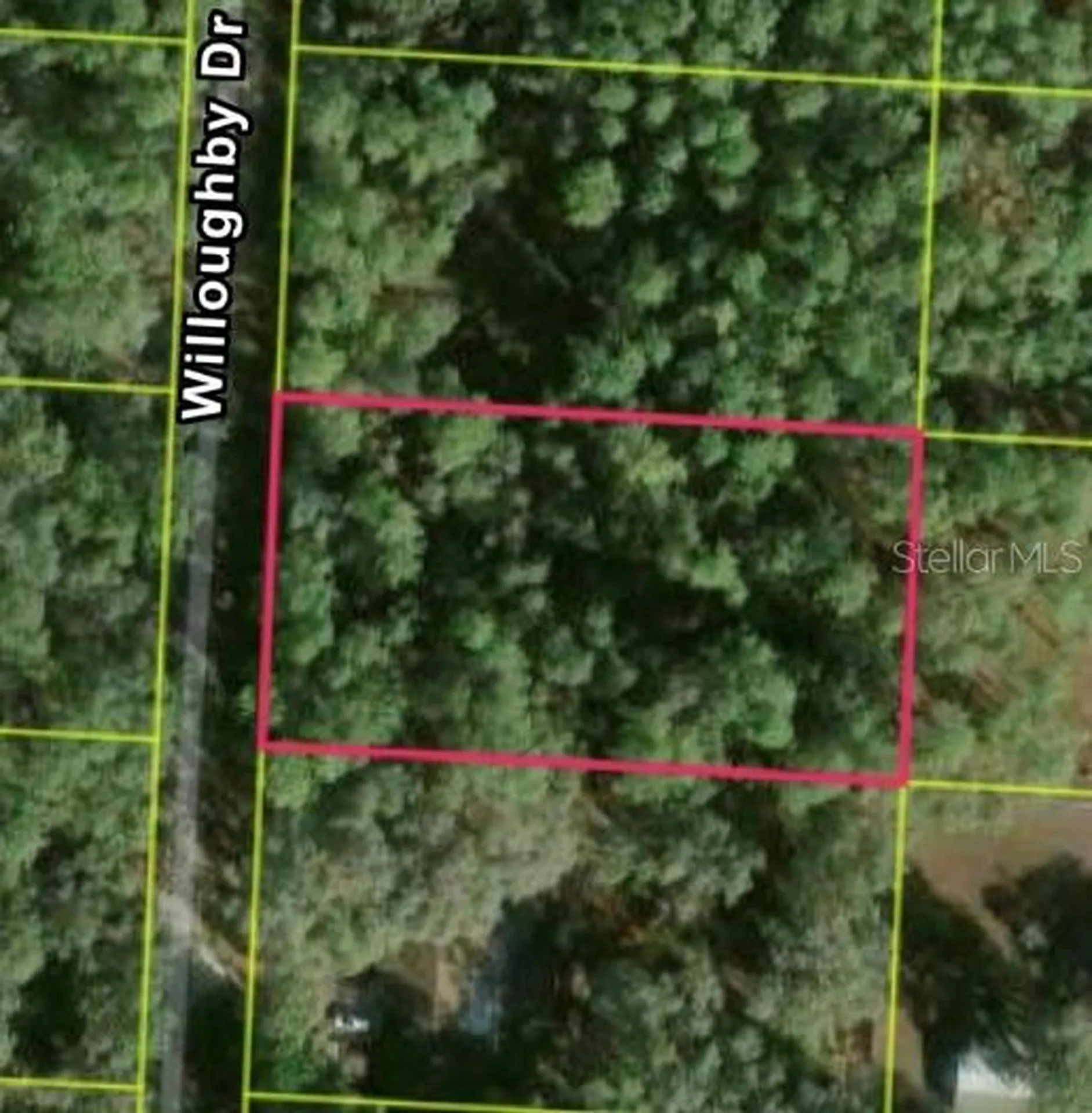 7352 Willoughby Drive Webster FL 33597
