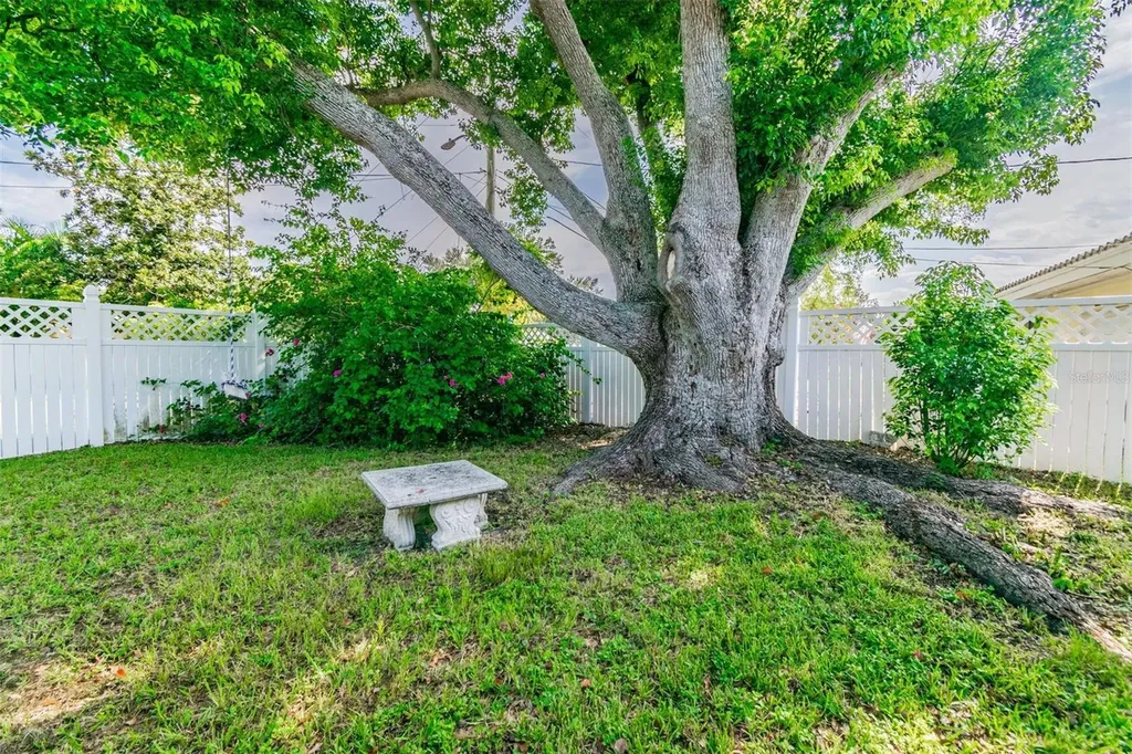1519 Bass Boulevard Dunedin FL 34698