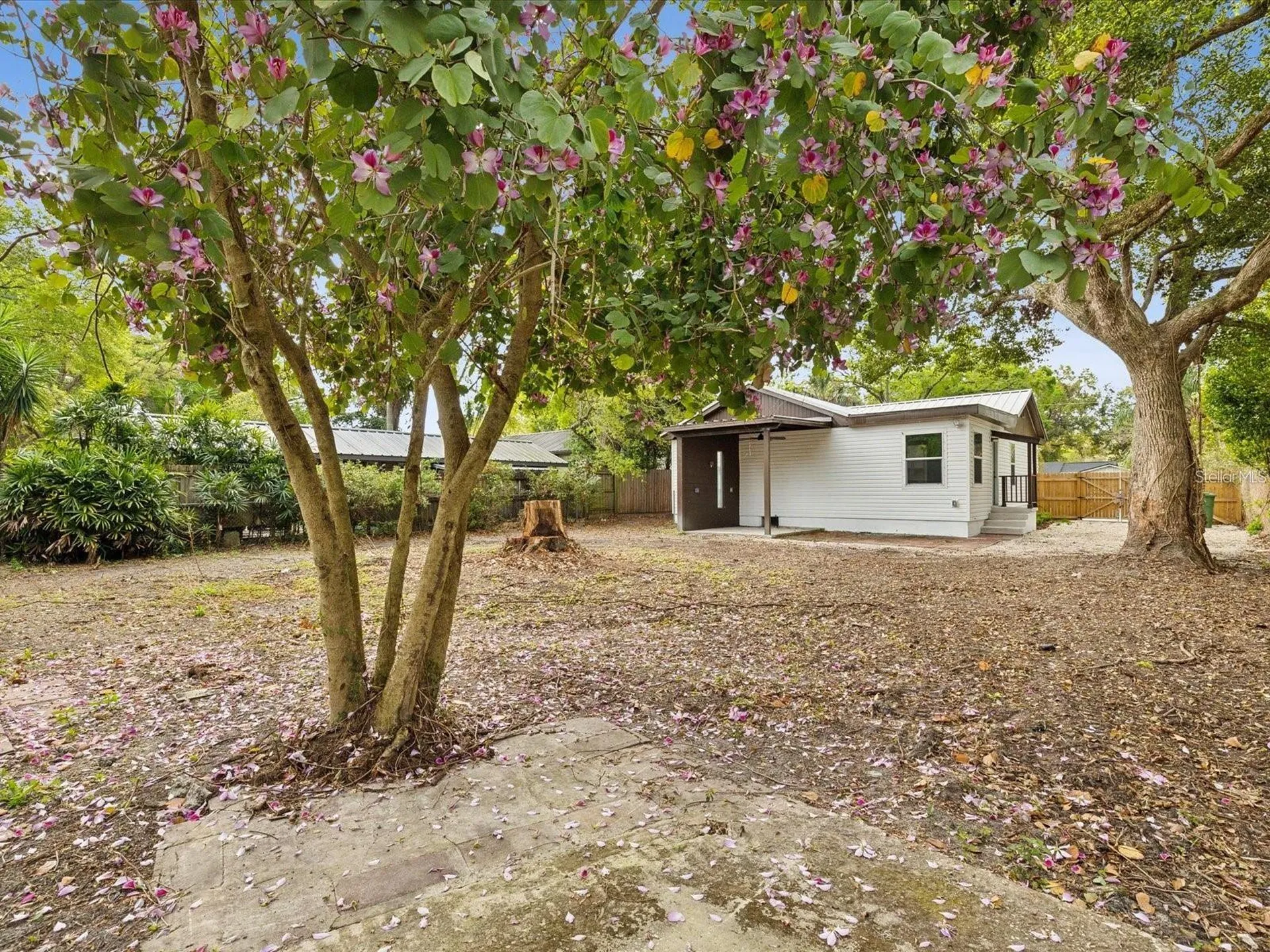 1008 E Norfolk Street Tampa FL 33604