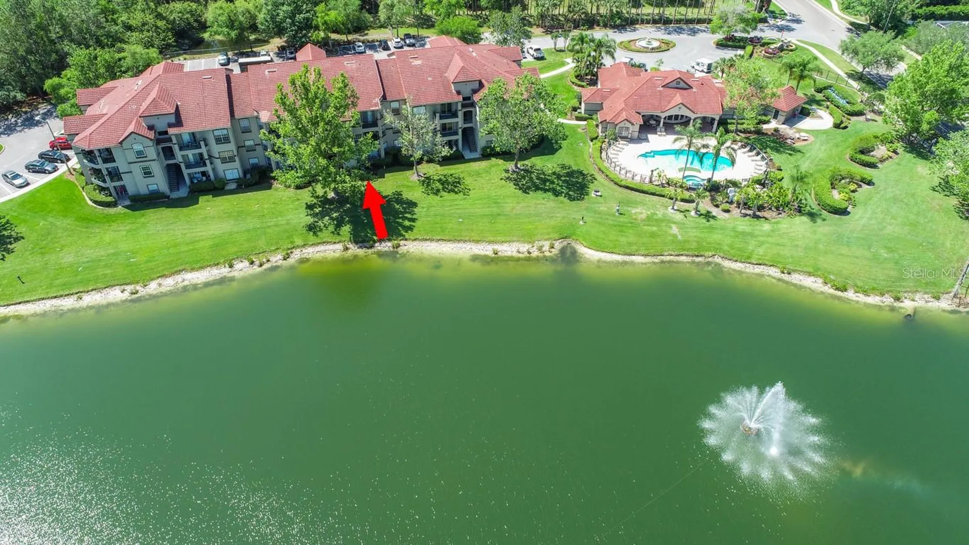4209 Woodstorks Walk Way Lutz FL 33558
