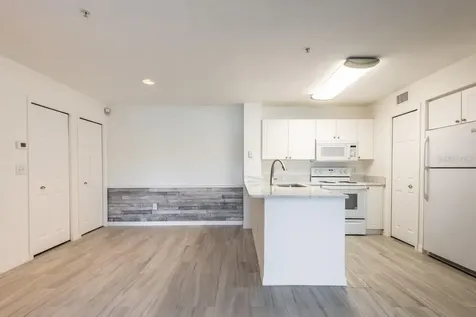 4209 Woodstorks Walk Way Lutz FL 33558