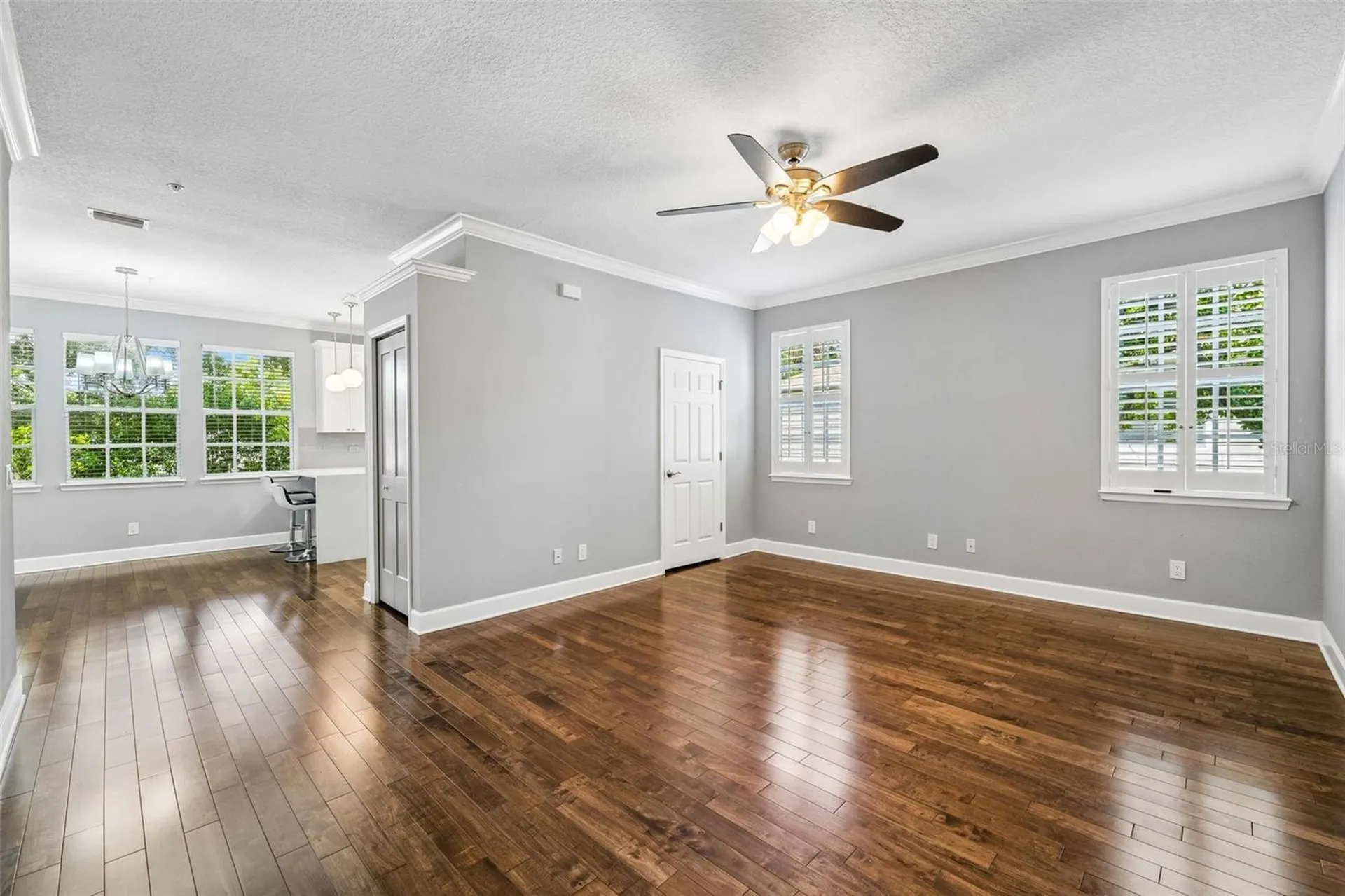 2613 Espana Court Tampa FL 33609