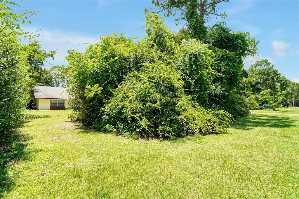 3640 Wood Duck Drive Mims FL 32754