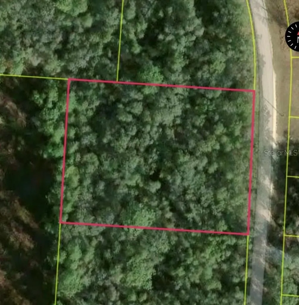 34253 Berryhill Drive Webster FL 33597