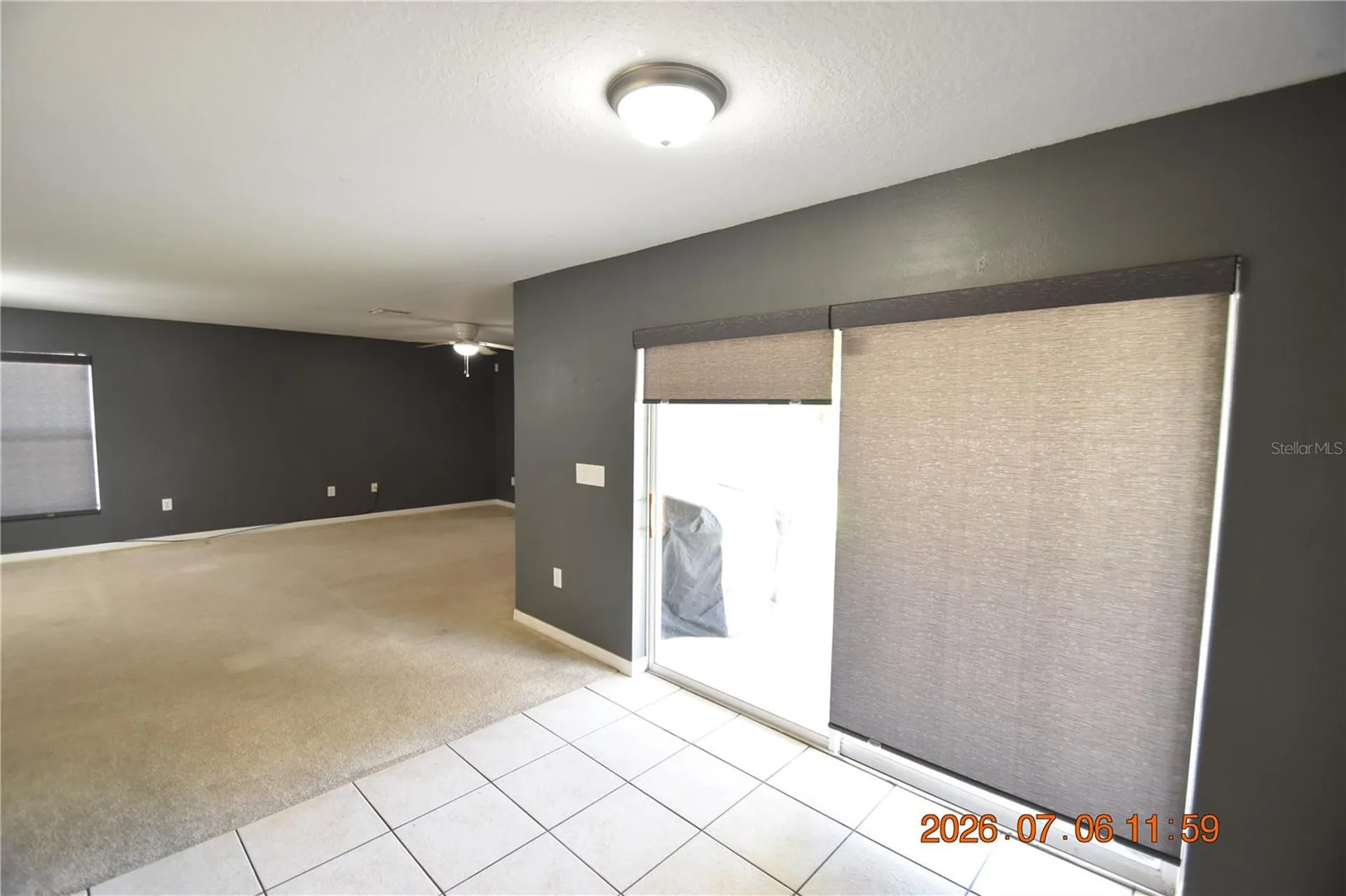 13556 Fladgate Mark Drive Riverview FL 33579