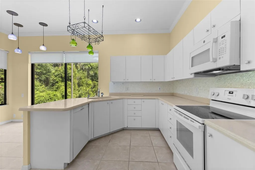 4201 Waterscape Drive Palm Harbor FL 34685