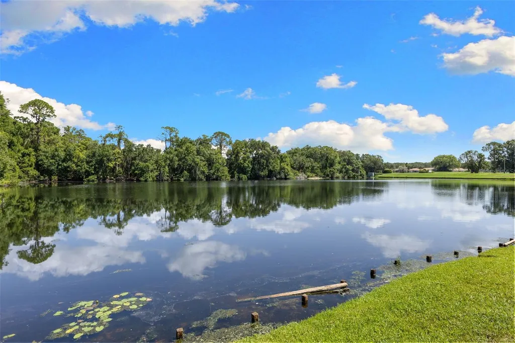 4201 Waterscape Drive Palm Harbor FL 34685