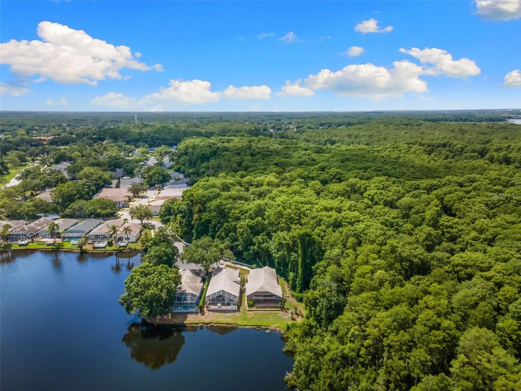 4201 Waterscape Drive Palm Harbor FL 34685