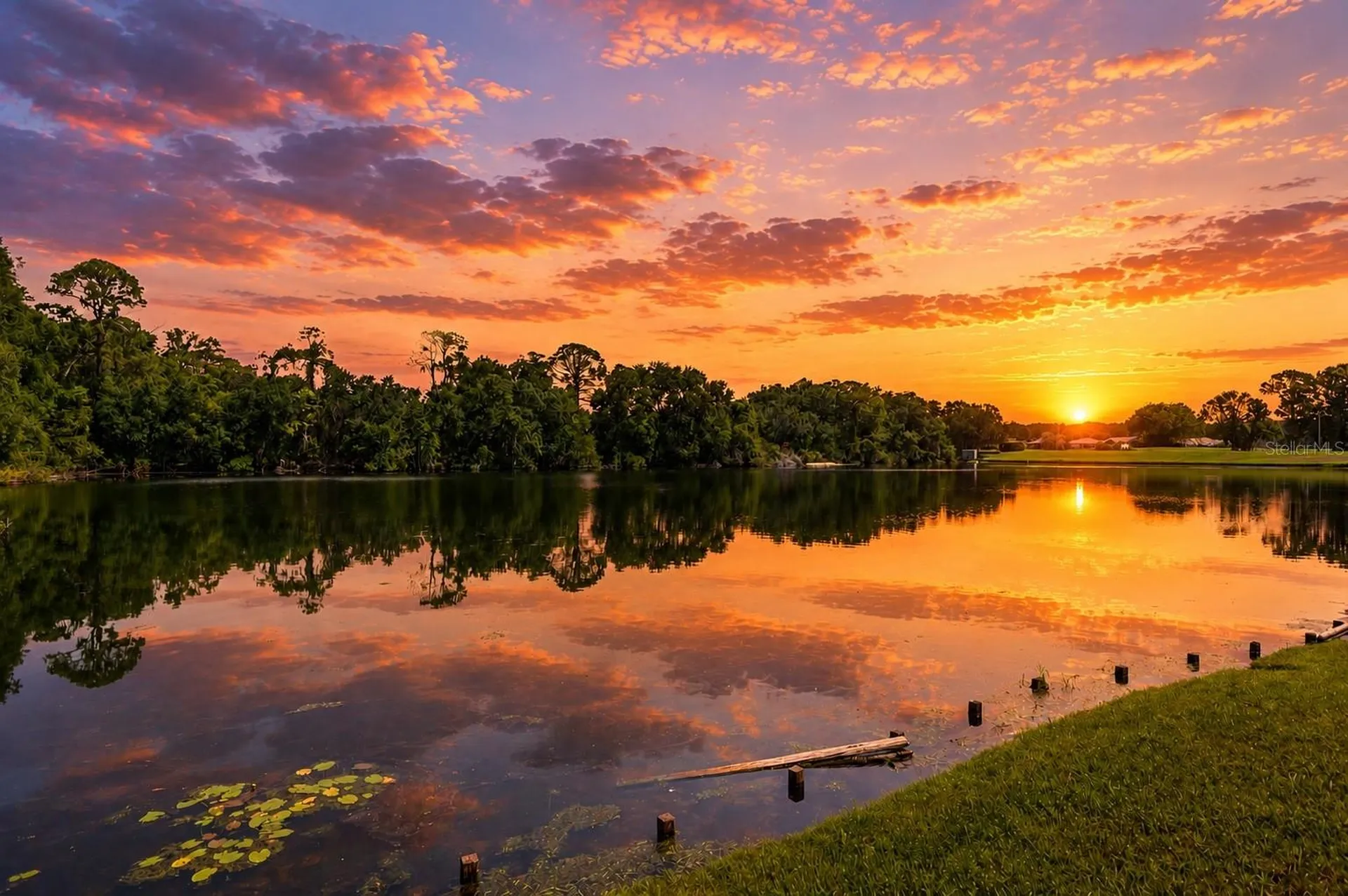 4201 Waterscape Drive Palm Harbor FL 34685