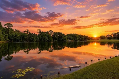 4201 Waterscape Drive Palm Harbor FL 34685