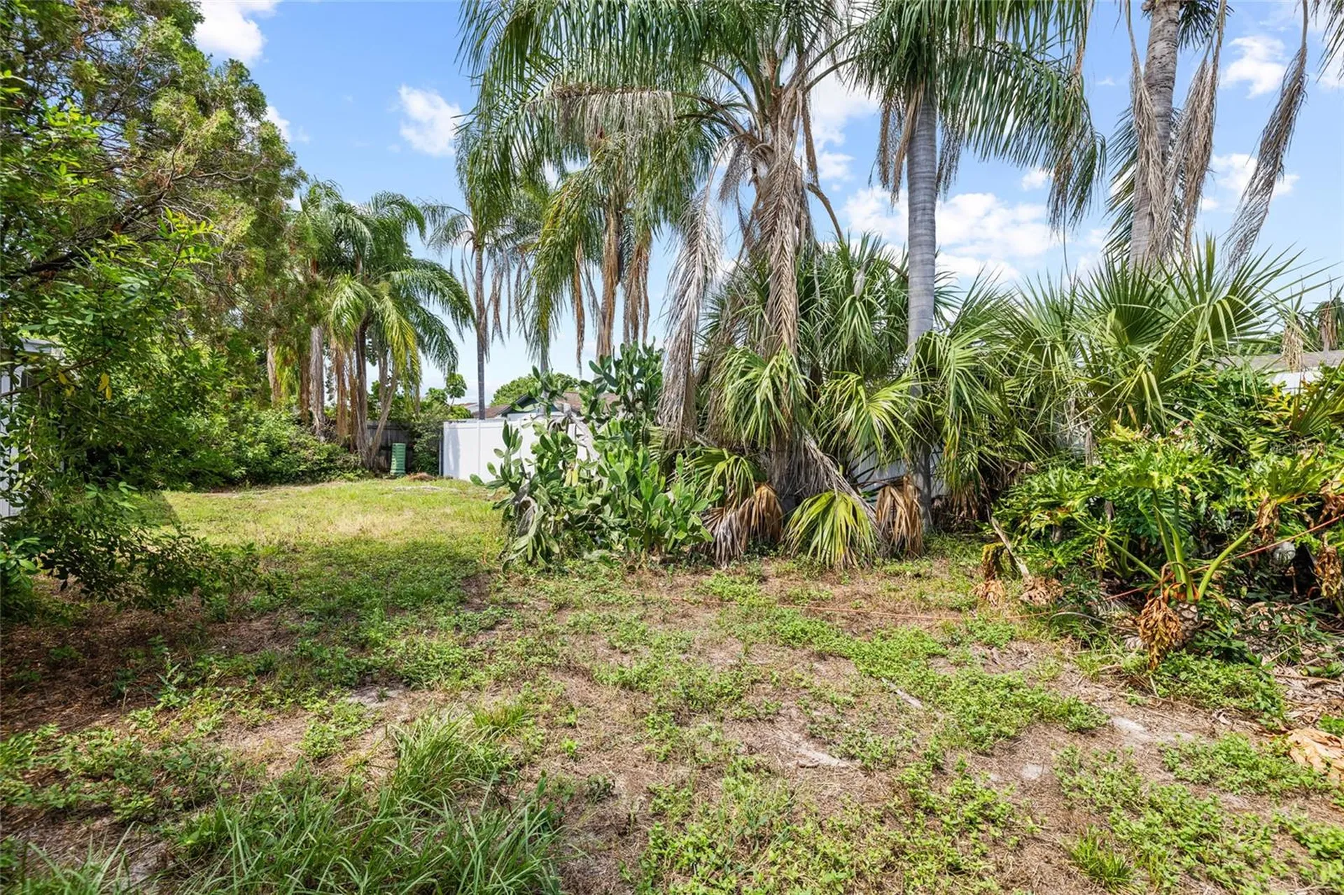 4709 Travertine Drive Tampa FL 33615