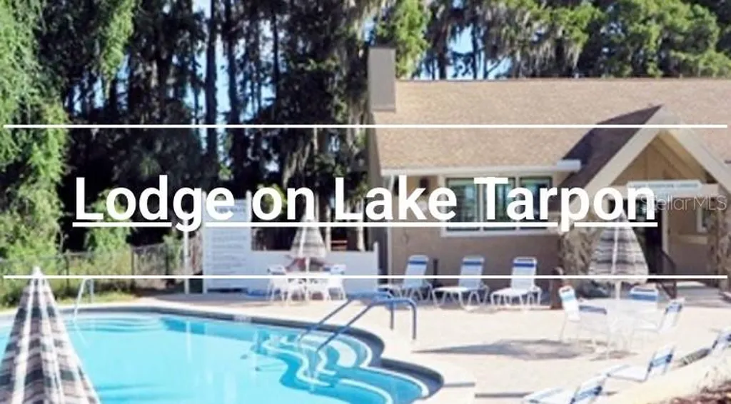 3537 Birkdale Lane Palm Harbor FL 34684