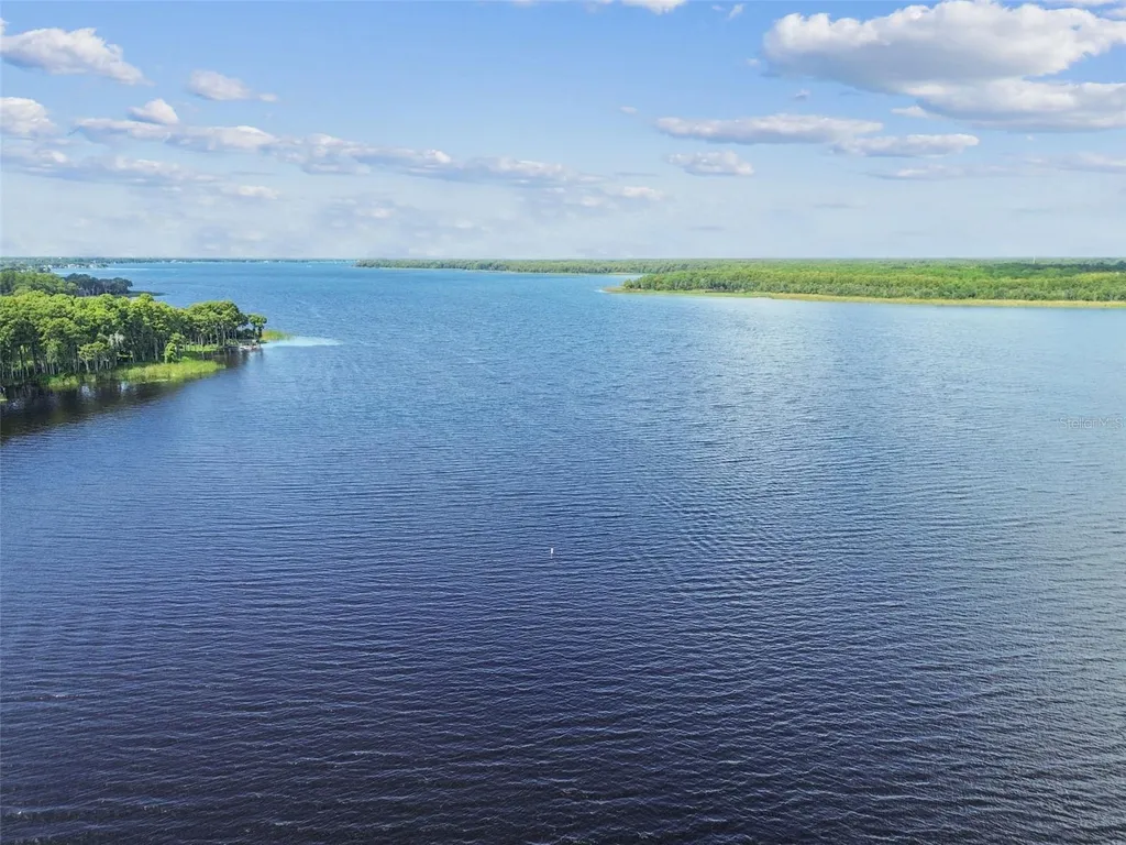 3537 Birkdale Lane Palm Harbor FL 34684