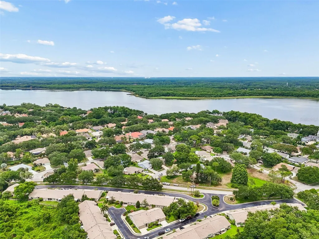 3537 Birkdale Lane Palm Harbor FL 34684