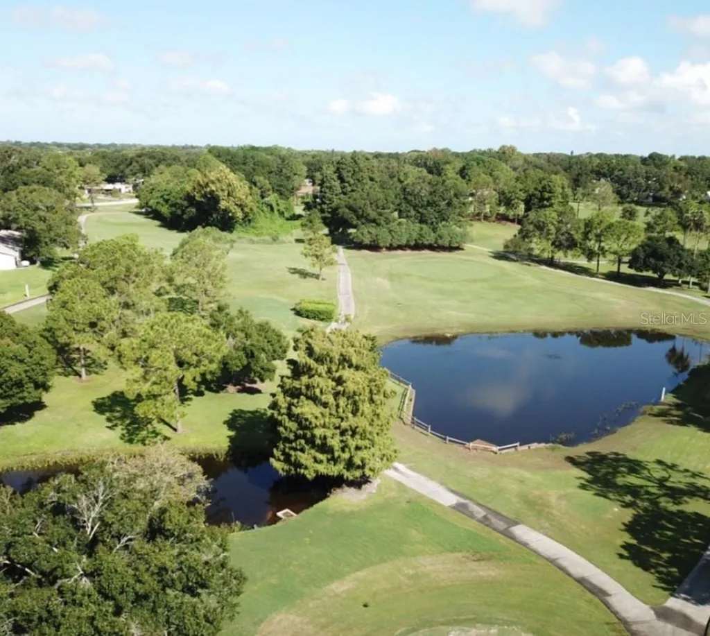 3537 Birkdale Lane Palm Harbor FL 34684