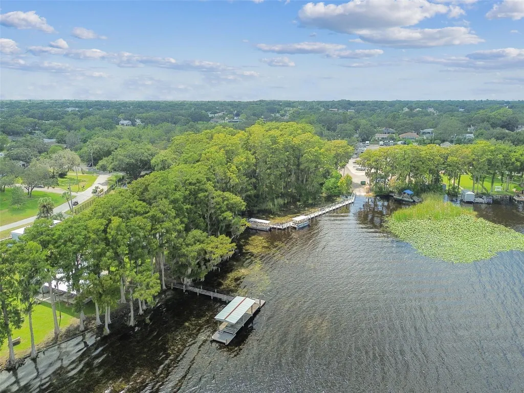 3537 Birkdale Lane Palm Harbor FL 34684